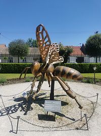 včela nachádzajúca sa oproti Vile Apimed