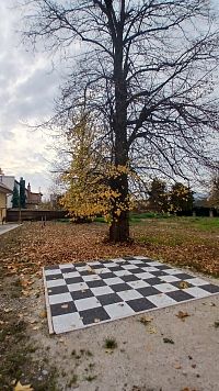 šachy pri kaviarni