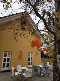 v štíte socha sv. Vincenta