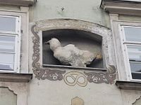 bazilišek - zvierací útvar z pieskovcového zlepenca