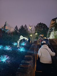 kvety menili farby, na strome lietajú tri motýle, v pozadí hrad