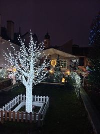 opäť strom, ale trocha iný