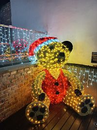 macko, ktorý často poslúžil k fotografovaniu