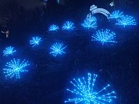 kvety sa nám páčili