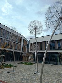 Trnava - Rezidencia Púpava s piatimi krásnymi veľkými púpavami