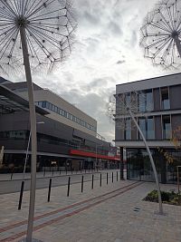 púpavy a na druhej strane cesty City aréna so štadiónom Antona Malachovského