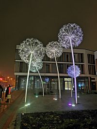 ešte krajšie sú za večerného osvetlenia