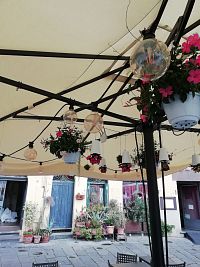 pohľad na kvetinovú výzdobu jedného zo stánkov i kvety v črepníkoch pri obytných domoch