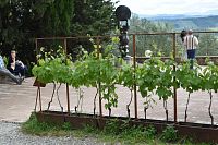 odpočinkové a jedno z vyhliadkových miest s viničom a sochou