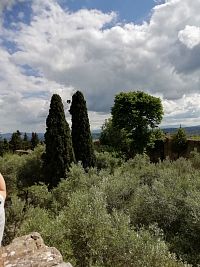 typická toskánska zeleň