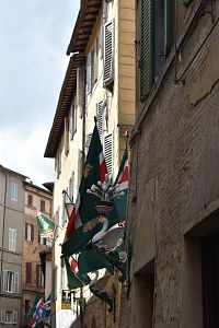 štvrť kontráda Oca - hus s vlajkami určujúcimi v akej štvrti sa nachádzame