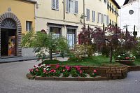 trocha zelene v kamennom meste na námestí Piazza Piazza San Frediano