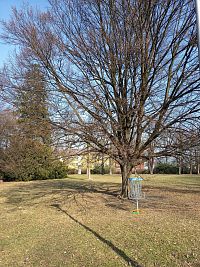 kôš, do ktorého súťažaici hádzali farebné taniere