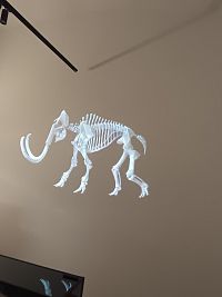 pohybujúca a meniaca sa kostra mamuta