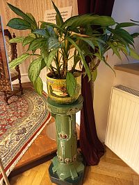 kvetina na krásnom stojane