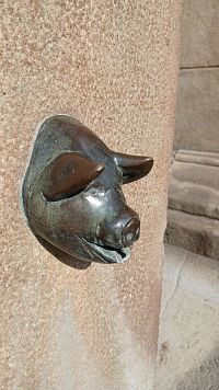 chrlič vody IV - hlava čuníka