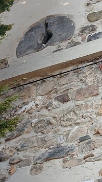 strieľňa