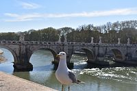 Taliansko - Lazio - Rím - Anjelský most (Ponte Sant´Angelo)