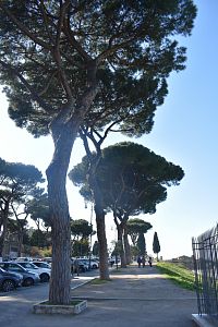 prechádzka po pahorku Aventin s výhľadom na Circo Massimo