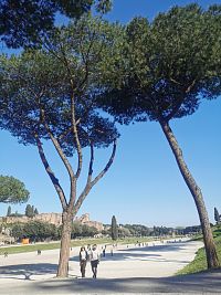 Circus Maximus