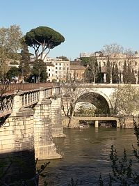 most Palatino a Cloaca Maxima