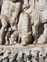 detail - ľudia a zvieratá sa osviežujú vodou