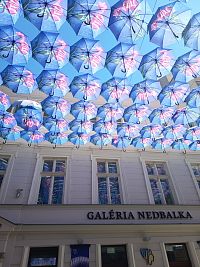 Galéria Nedbalka