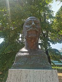 busta Augusta Murriho