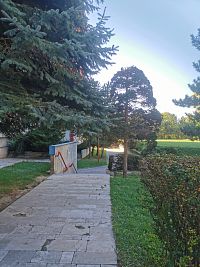 zeleň