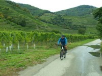 Cyklostezky často vedou mezi vinicemi