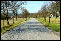 Dlážděná silnice vybudována vězni koncentračního tábora v Hradištku
