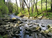 Ondřejnice pod oborou