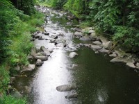 potok Lomnice