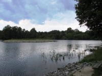 Markvartický rybník