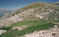 mokřady u jezera Lac de Nino