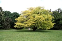 zámecký park