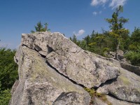 Čtyři palice- na vrcholu skalního bloku Tvrz