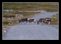 v pohoří Jotunheimen