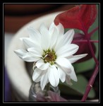 fotka uživatele beranek_miky