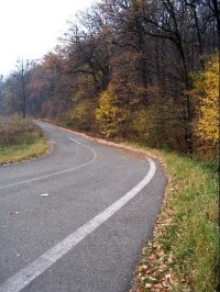 Velké doly: Stará cesta mezi Třincem a Českým Těšínem, napravo začíná přírodní rezervace Velké doly