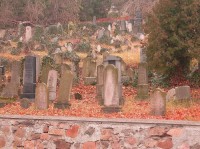 Židovský hřbitov: Podzimní atmosféra na židovském hřibotvě.