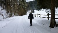 Zimní procházka k ovečkám