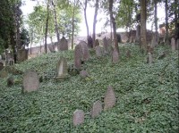 Třebíč - židovský hřbitov