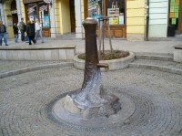 Pěší zóna - fontána