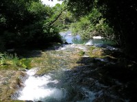 Řeka Krka