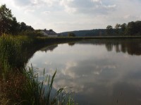 Bohušovský rybník: Pohled na Bohušovský rybník a stavení