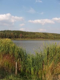 Bohušovský rybník3: Pohled na Bohušovský rybník od stavení
