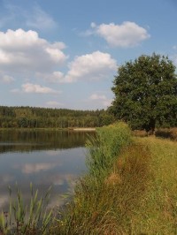 Bohušovský rybník: Pohled na Bohušovský rybník