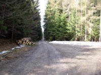 Lesácká asfaltka k silnici Pístov Sálavice: Cyklisty velmi používaná cyklotrasa 5090 spojující Kostelec a Třešť