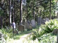 Židovský hřbitov v Třebíči